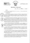 Vista preliminar de documento RD 029-2025-INO-D