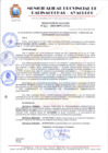 Vista preliminar de documento RESOLUCION 260