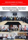 Vista preliminar de documento Boletín Informativo Estadístico – Socio Laboral en Materia de Relaciones de Trabajo 2do Trimestre (Abril – junio 2024)