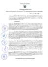 Vista preliminar de documento GRDS.172