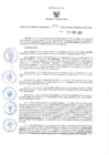 Vista preliminar de documento GRDS.173