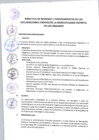 Vista preliminar de documento DIRECTIVA N°001