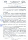 Vista preliminar de documento RA Nº 087-2025