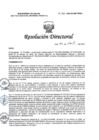 Vista preliminar de documento RD N° 136-2025-DG-INMP/MINSA