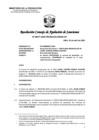 Vista preliminar de documento RCONAS-00077-2025-PRODUCE-CONAS-CP