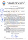 Vista preliminar de documento RESOLUCION 262