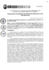 Vista preliminar de documento RGSP245-2024