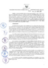 Vista preliminar de documento ORA.155