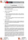 Vista preliminar de documento TDR (17)