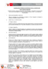 Vista preliminar de documento TDR (18)