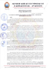 Vista preliminar de documento RESOLUCION 266