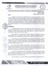Vista preliminar de documento RDS N 220 AJ