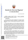 Vista preliminar de documento RDR 1393-2025-DRELM-I