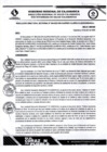 Vista preliminar de documento RDS N 204 AJ
