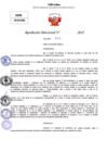Vista preliminar de documento Resolucion Directoral N° 002958-2025