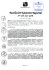 Vista preliminar de documento RER 244-2025-GOB