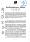 Vista preliminar de documento RER 206-2025-GOB
