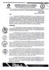 Vista preliminar de documento RDS N 198 AJ