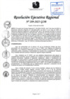 Vista preliminar de documento RER 209-2025-GOB