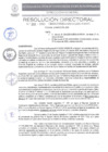 Vista preliminar de documento RD 205-2025
