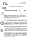 Vista preliminar de documento Resolucion Directoral N° 002963-2025