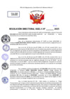 Vista preliminar de documento Resolucion Directoral N° 002965-2025