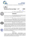 Vista preliminar de documento Resolucion Directoral N° 002972-2025