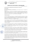 Vista preliminar de documento ORDENANZA MUNICIPAL N° 009-2025/MPS