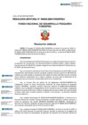 Vista preliminar de documento RESOLUCION JEFATURAL-000033-2025-J