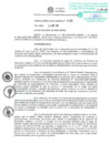 Vista preliminar de documento RES-2025-149-ALC/MSI	