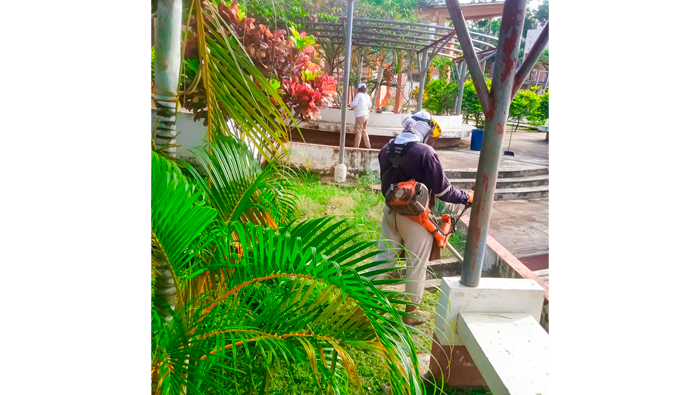 Continuamos trabajando en la ciudad de Tarapoto.