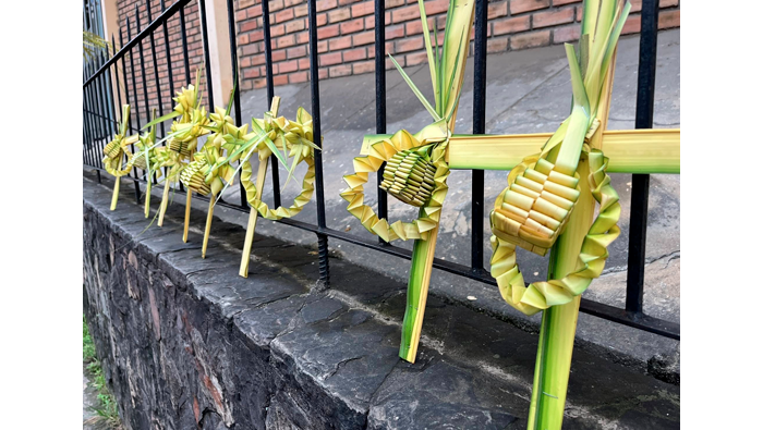 Feliz domingo de ramos a todos.