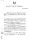 Vista preliminar de documento RS N° 030-2025-MINEM-SG