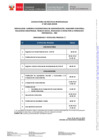 Vista preliminar de documento CRONOGRAMA Practicas Profesionales N° 007-2025