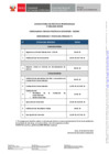 Vista preliminar de documento CRONOGRAMA Practicas Profesionales N° 008-2025
