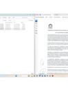 Vista preliminar de documento actas de sesión