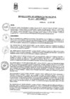Vista preliminar de documento Resolución N° 154-2017-GM-MDP-T