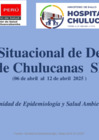 Vista preliminar de documento Sala Situacional de Dengue SEMANA 15