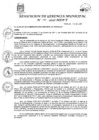 Vista preliminar de documento Resolución N° 194-2017-GM-MDP-T