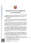Vista preliminar de documento RDR 1093-2025-DRELM-I