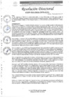 Vista preliminar de documento R.D Nº0033-2025-DIRESA-OGESS-HC