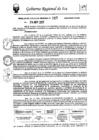 Vista preliminar de documento rer-127-2025-gore-ica-gr