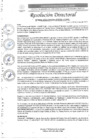 Vista preliminar de documento R.D Nº0036-2025-DIRESA-OGESS-HC