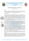 Vista preliminar de documento R.D. Nº 238-2024-MPP-OGAF