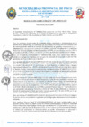 Vista preliminar de documento R.D. Nº 239-2024-MPP-OGAF