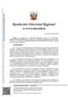 Vista preliminar de documento RDR 1414-2025-DRELM-I