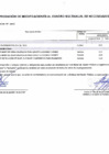 Vista preliminar de documento Reporte de Anexo 06  -  00000225