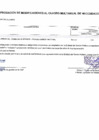 Vista preliminar de documento Reporte de Anexo 06  -00000236