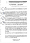 Vista preliminar de documento R.D Nº0041-2025-DIRESA-OGESS-HC