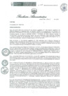 Vista preliminar de documento RA 028 OEA 2025
